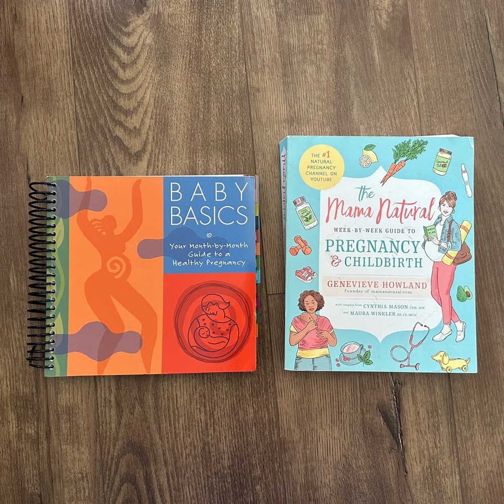The Mama Natural Pregnancy & Childbirth Guide - Blue and Orange